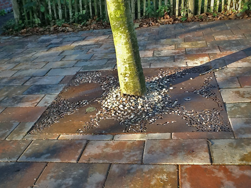 boomrooster van de kunsteboer
