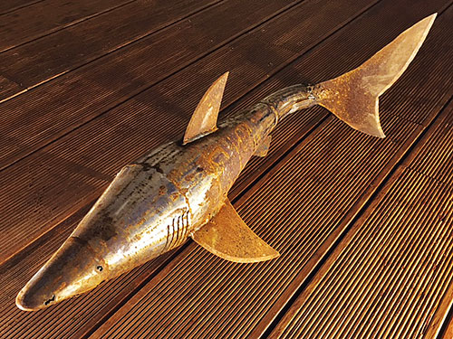 Haai van de kunsteboer