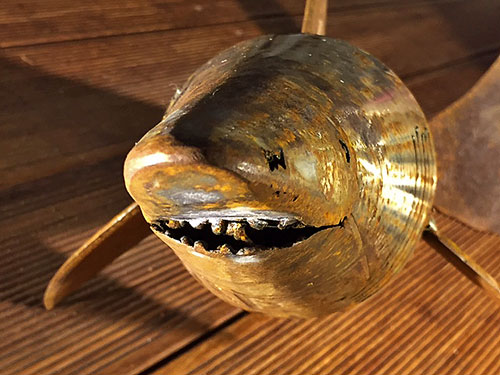 haai van de kunsteboer