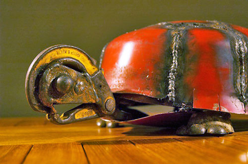 schildpad van de kunsteboer